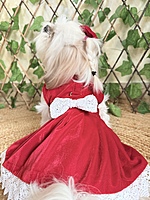 Red Velvet Dress