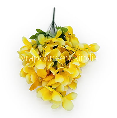 Bougainvillea Flower Bunch