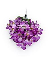 Bougainvillea Flower Bunch