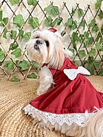 Red Velvet Dress