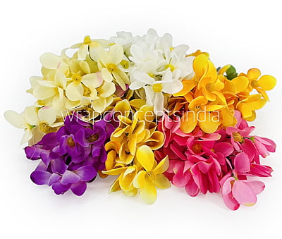 Bougainvillea Flower Bunch