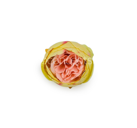 Peony - Lemon with hints of Peach