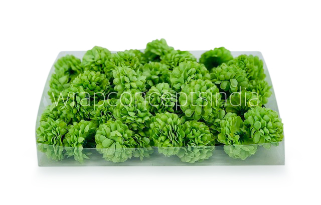 Small Carnation - Green