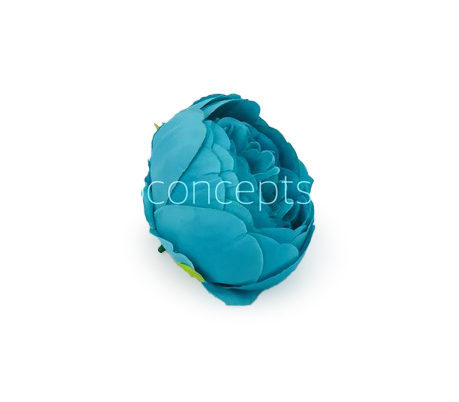 Peony-Turquoise Blue Peony