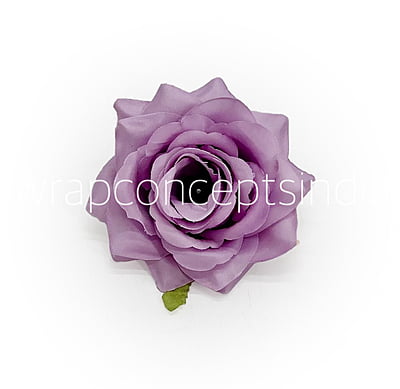 Lilac Rose