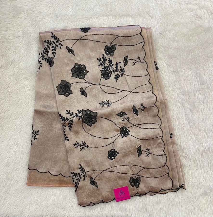 Aaliyah - The Soft Organza Tissue Saree SWS84