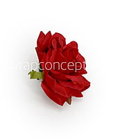 Chilli Red Rose