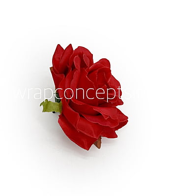 Chilli Red Rose
