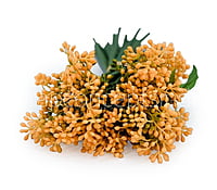 Baby Breath Floret Bunch -Mutlicolor