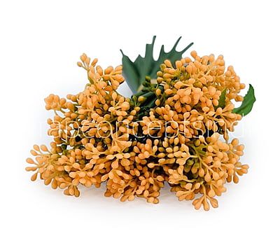 Baby Breath Floret Bunch -Mutlicolor