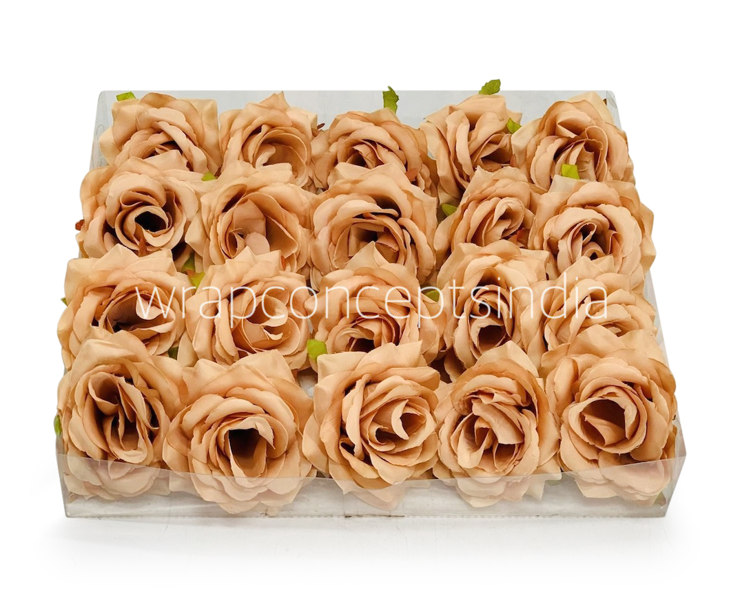 Cantaloupe Rose