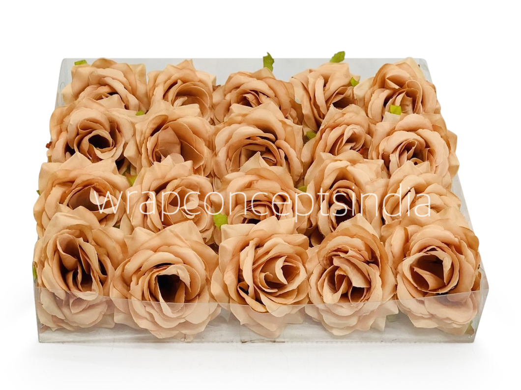Cantaloupe Rose
