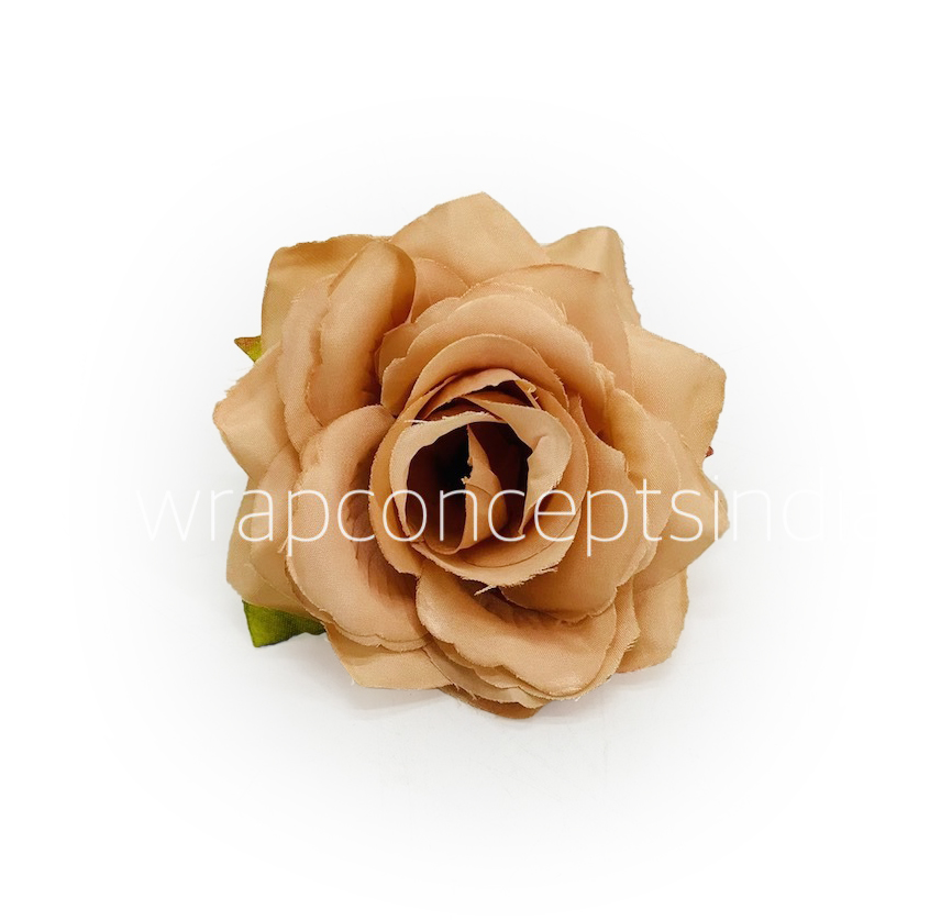 Cantaloupe Rose