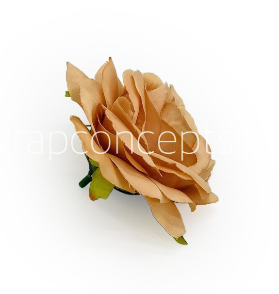 Cantaloupe Rose