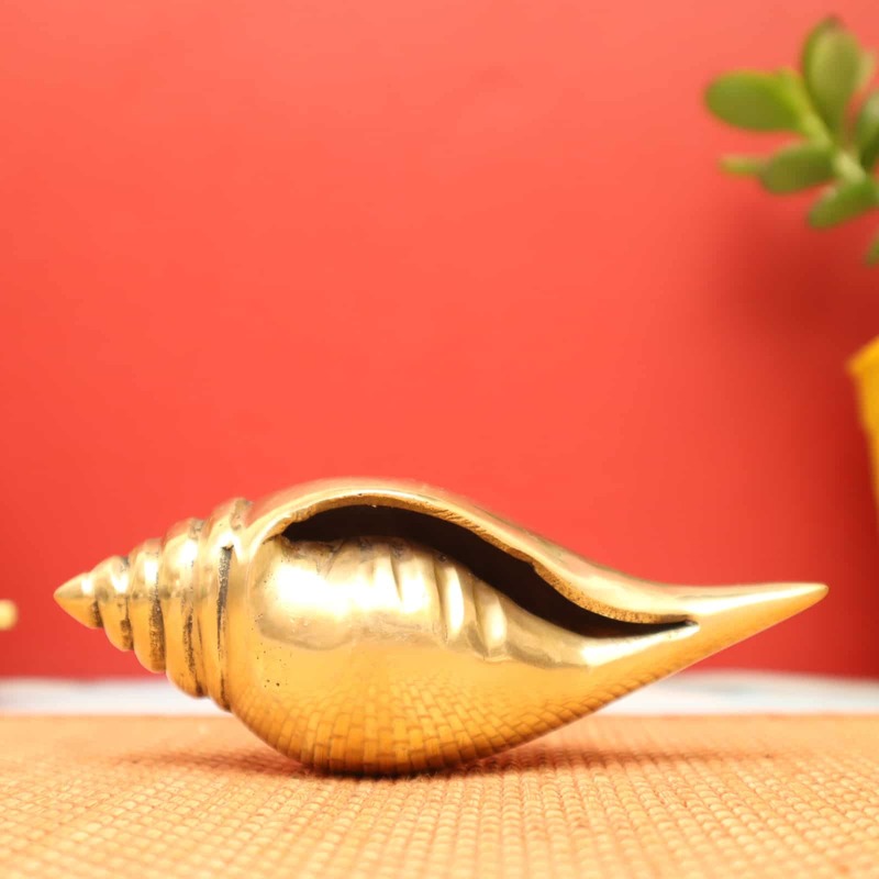 Plain Conch in Brass / Sacred Shankh for Spiritual Purposes - 5.8 inch Leght