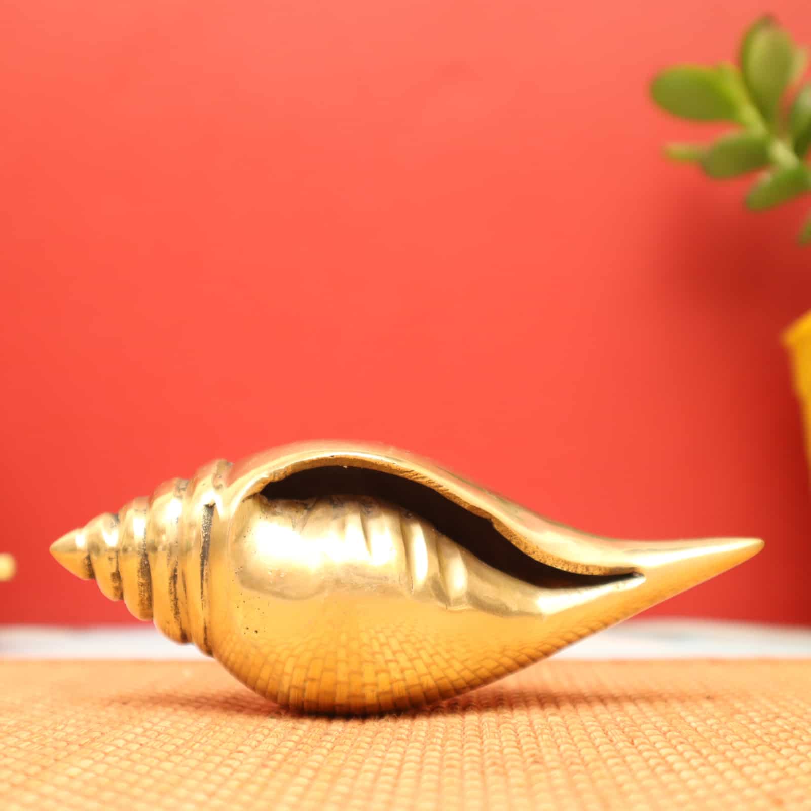 Plain Conch in Brass / Sacred Shankh for Spiritual Purposes - 5.8 inch Leght