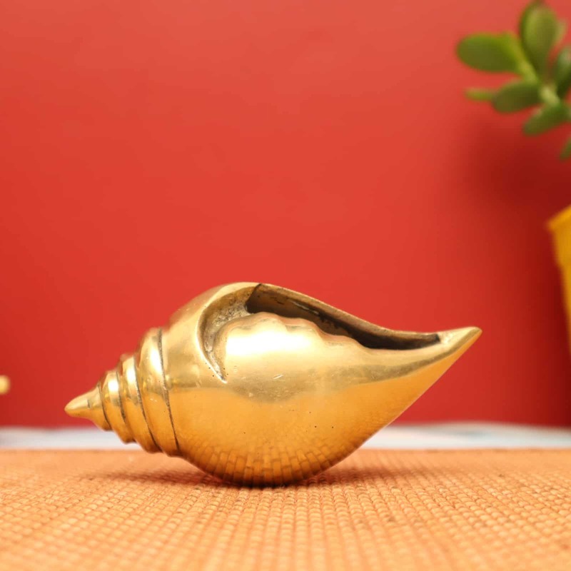 Plain Conch in Brass / Sacred Shankh for Spiritual Purposes - 5 inch Leght