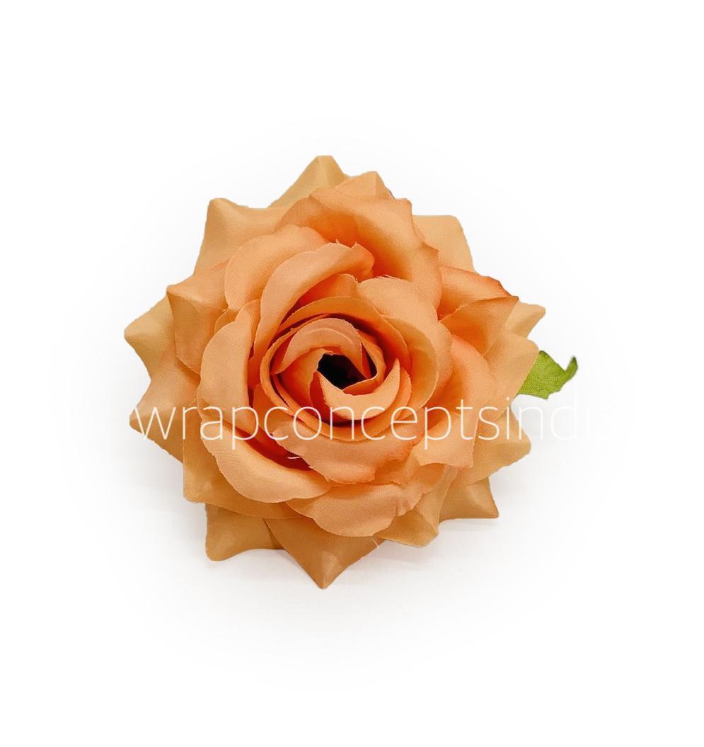 Pumpkin Rose