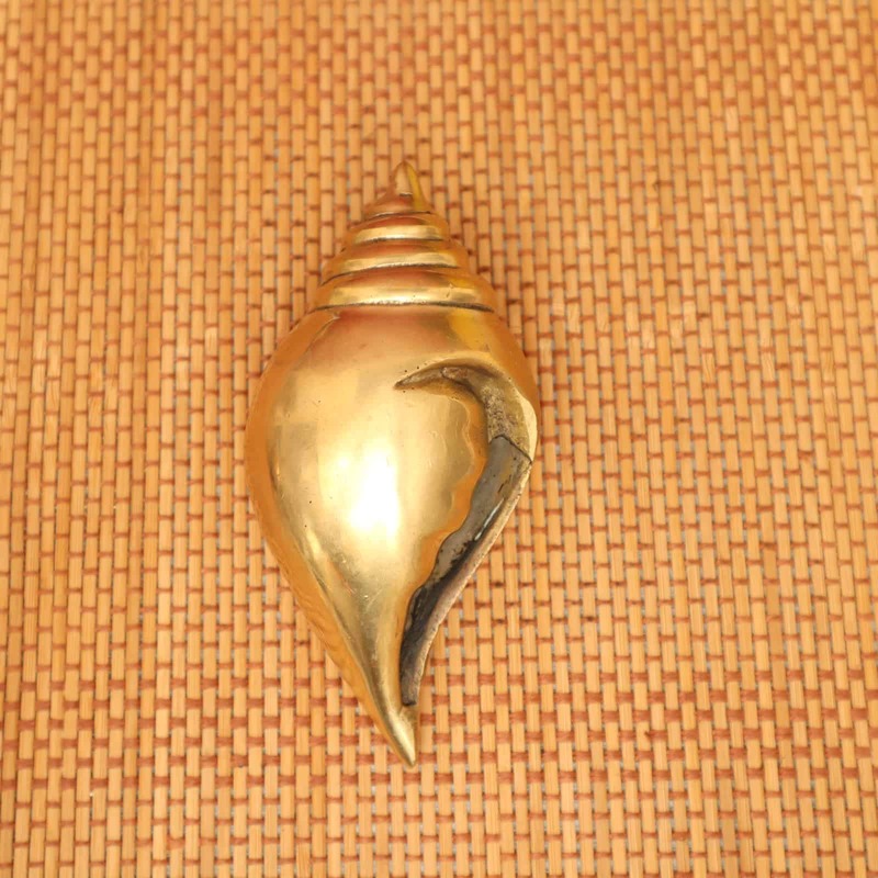 Plain Conch in Brass / Sacred Shankh for Spiritual Purposes - 5 inch Leght