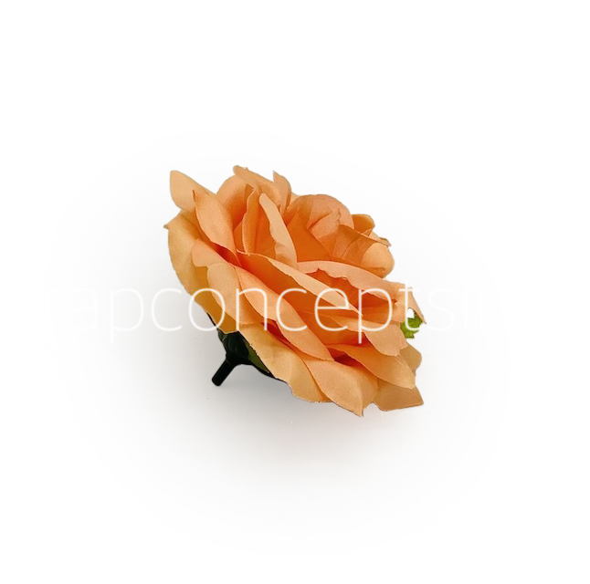 Pumpkin Rose