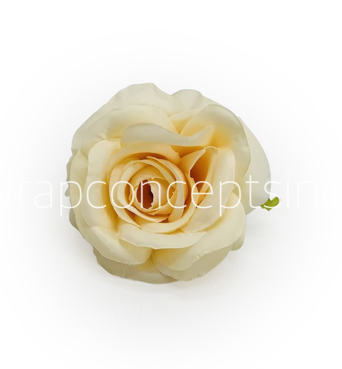 Macaroon Rose