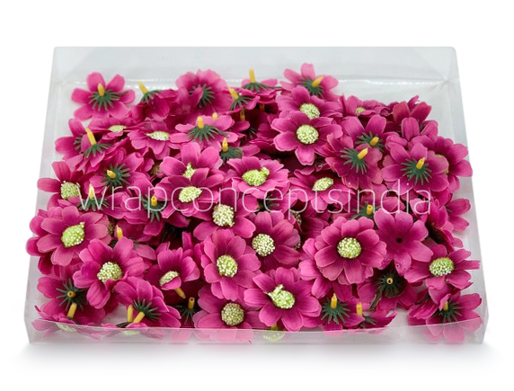Magenta Cosmos Flower