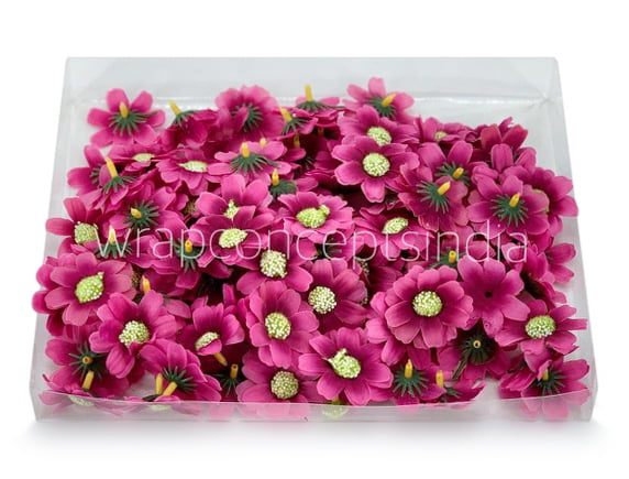 Magenta Cosmos Flower