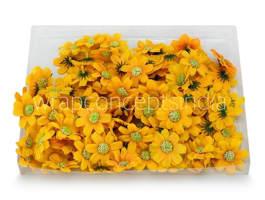 Sunshine Yellow Cosmos Flower