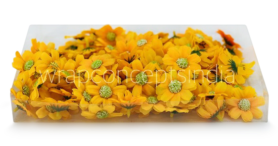 Sunshine Yellow Cosmos Flower