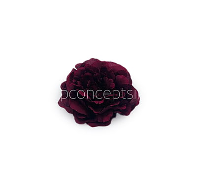 Maroon Moutan Peony