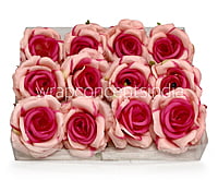 Baby & Fuchsia Pink Rose