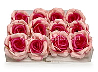 Baby & Fuchsia Pink Rose