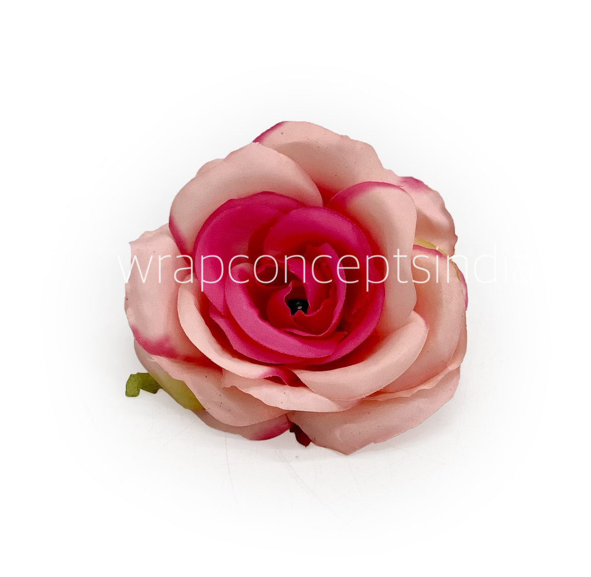 Baby & Fuchsia Pink Rose