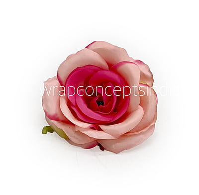 Baby & Fuchsia Pink Rose