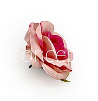 Baby & Fuchsia Pink Rose