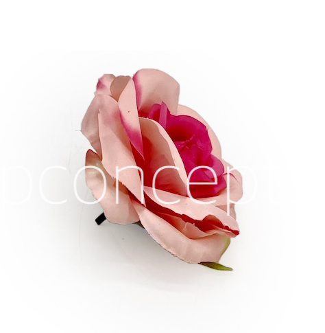 Baby & Fuchsia Pink Rose