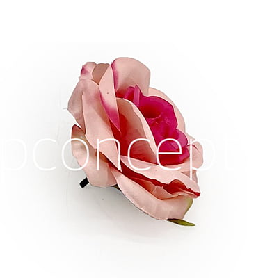 Baby & Fuchsia Pink Rose