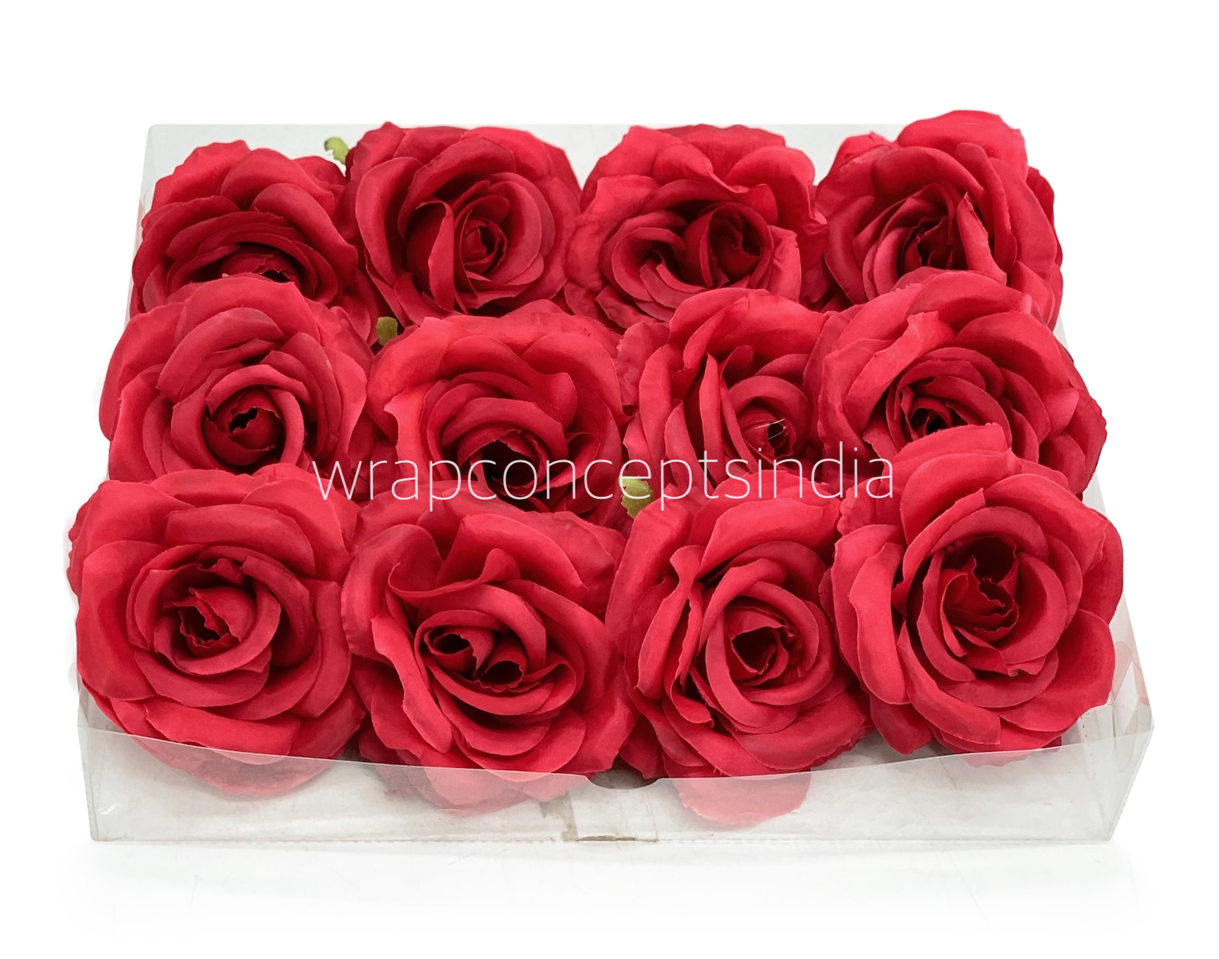 Amaranth Red Rose