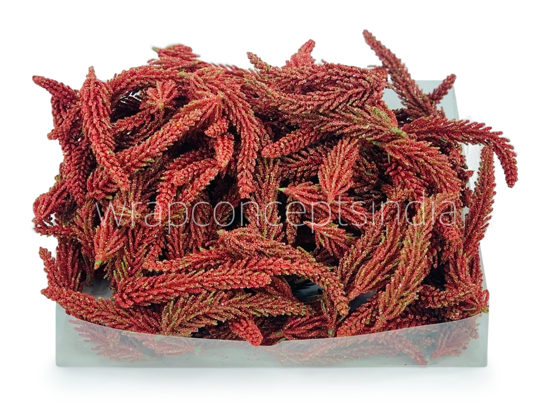 Red Fir Leaves