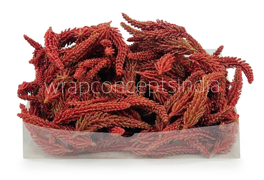Red Fir Leaves