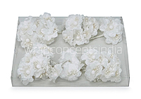 White Flowers on stick with ball & pollen