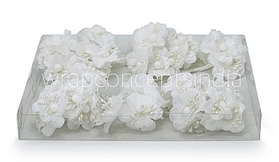 White Flowers on stick with ball & pollen