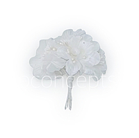 White Flowers on stick with ball & pollen