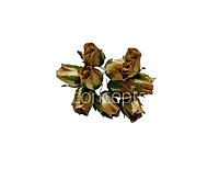 Antique Gold Blooms