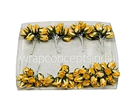 Sunbeam Mini Roses