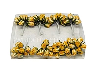Sunbeam Mini Roses