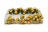 Sunbeam Mini Roses