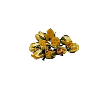 Sunbeam Mini Roses
