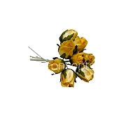 Sunbeam Mini Roses