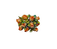 Citrus Charm Rosebuds
